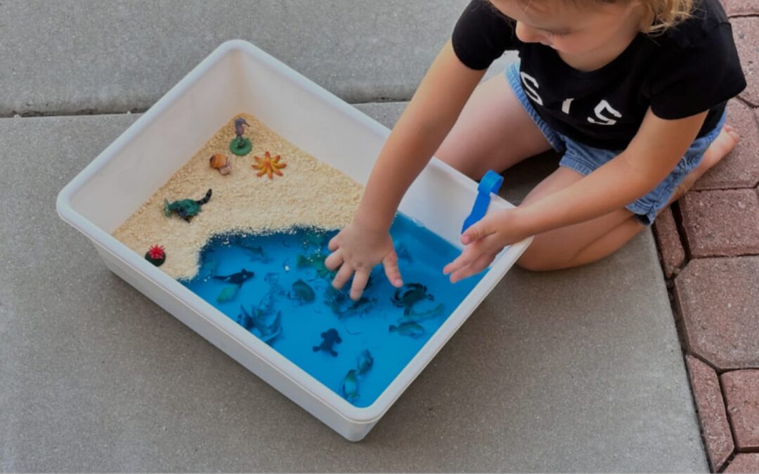 The Magic of Sensory Bins Unlocking Learning Through Touch, Sight, and Sound