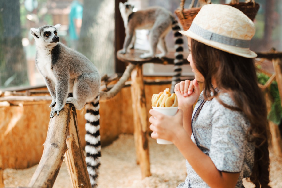 Tips to Making Your Toddlers Summer Vacation Memorable by Elzee experts, best preschool in Goregaon.